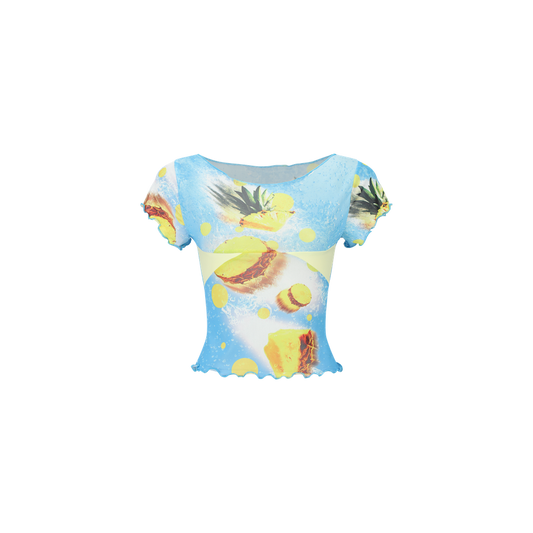 Pineapple top
