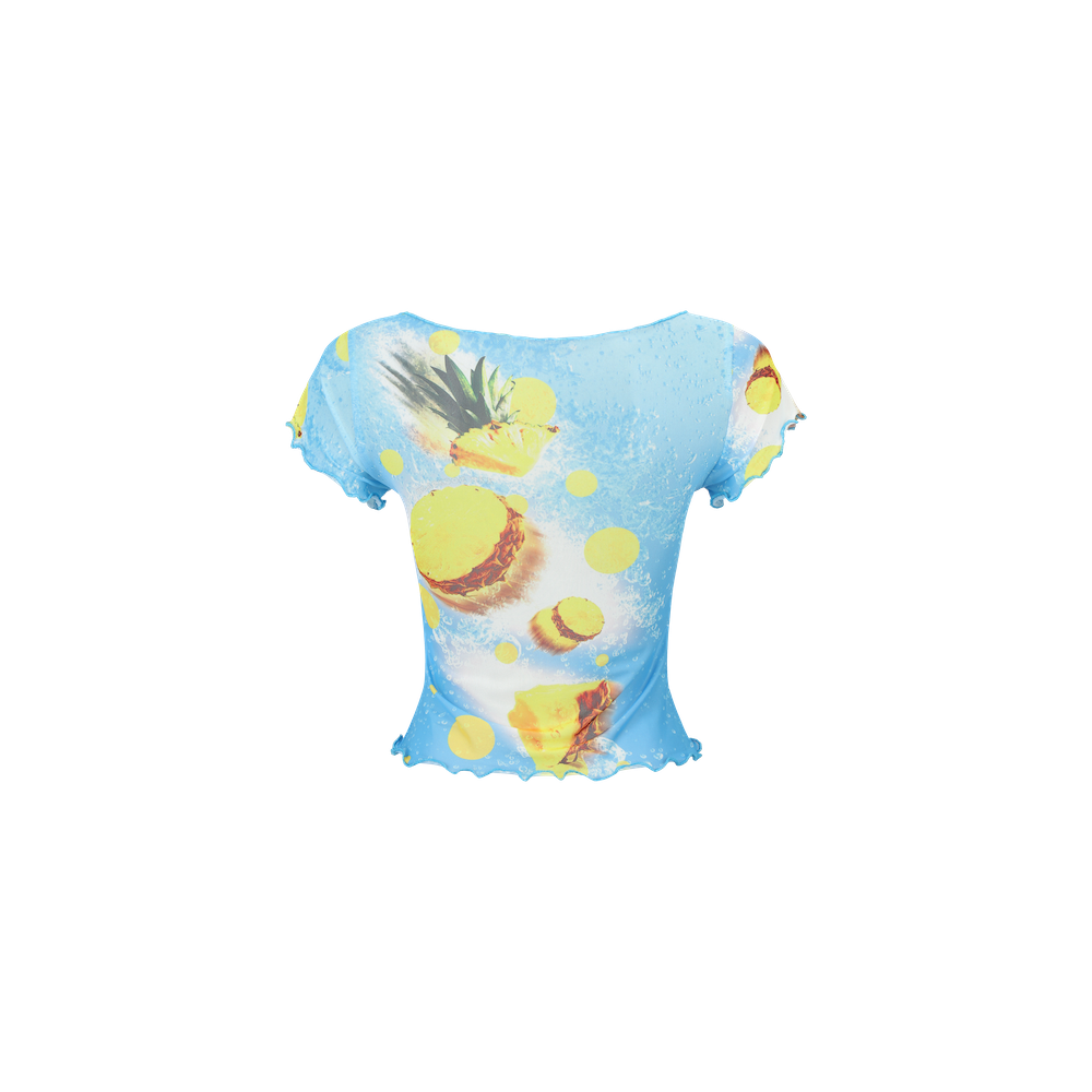 Pineapple top