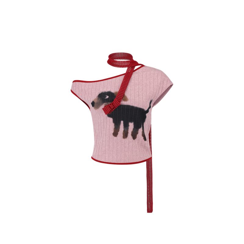 Dog walker top