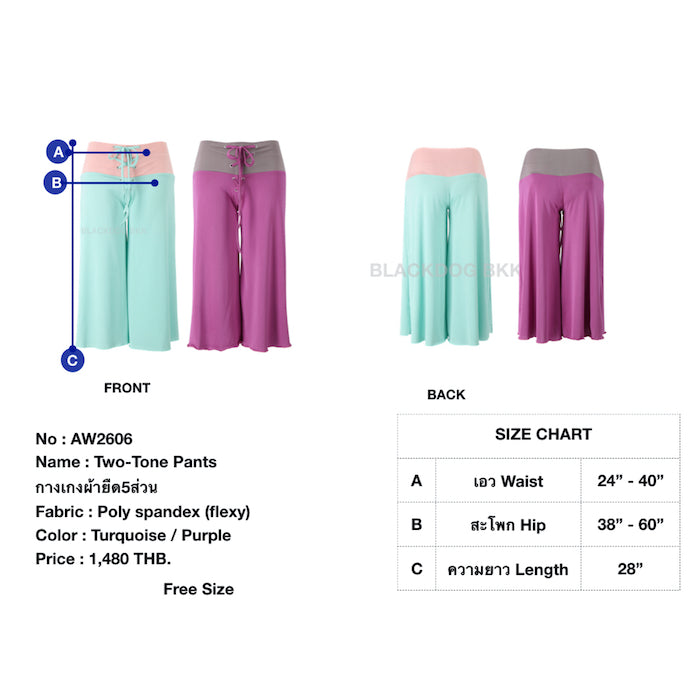 Two-Tone Pants